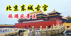 大吊插骚逼视频中国北京-东城古宫旅游风景区